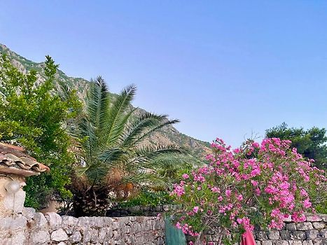 Simple paradise